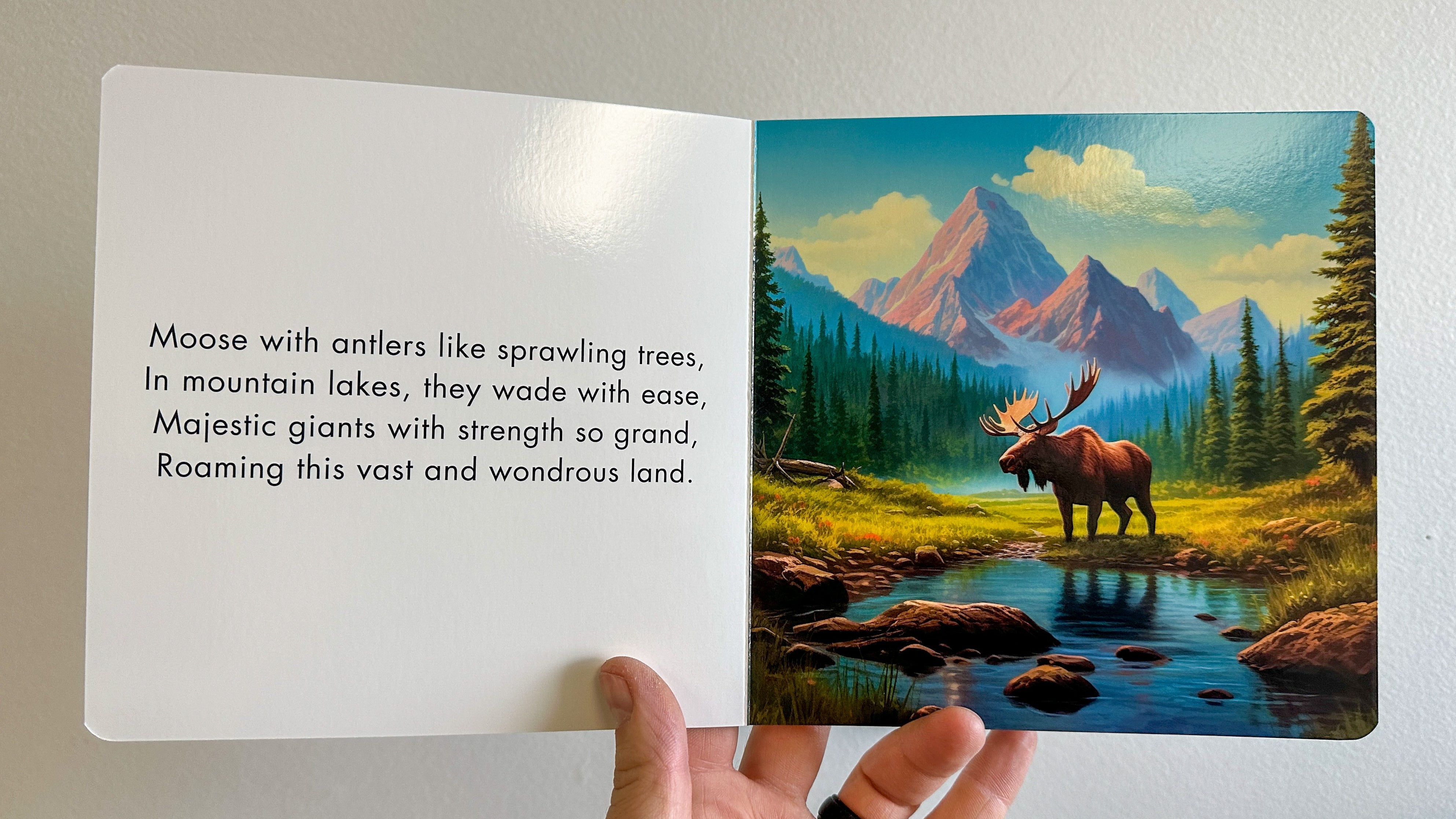 Peaks & Paws — Board Book