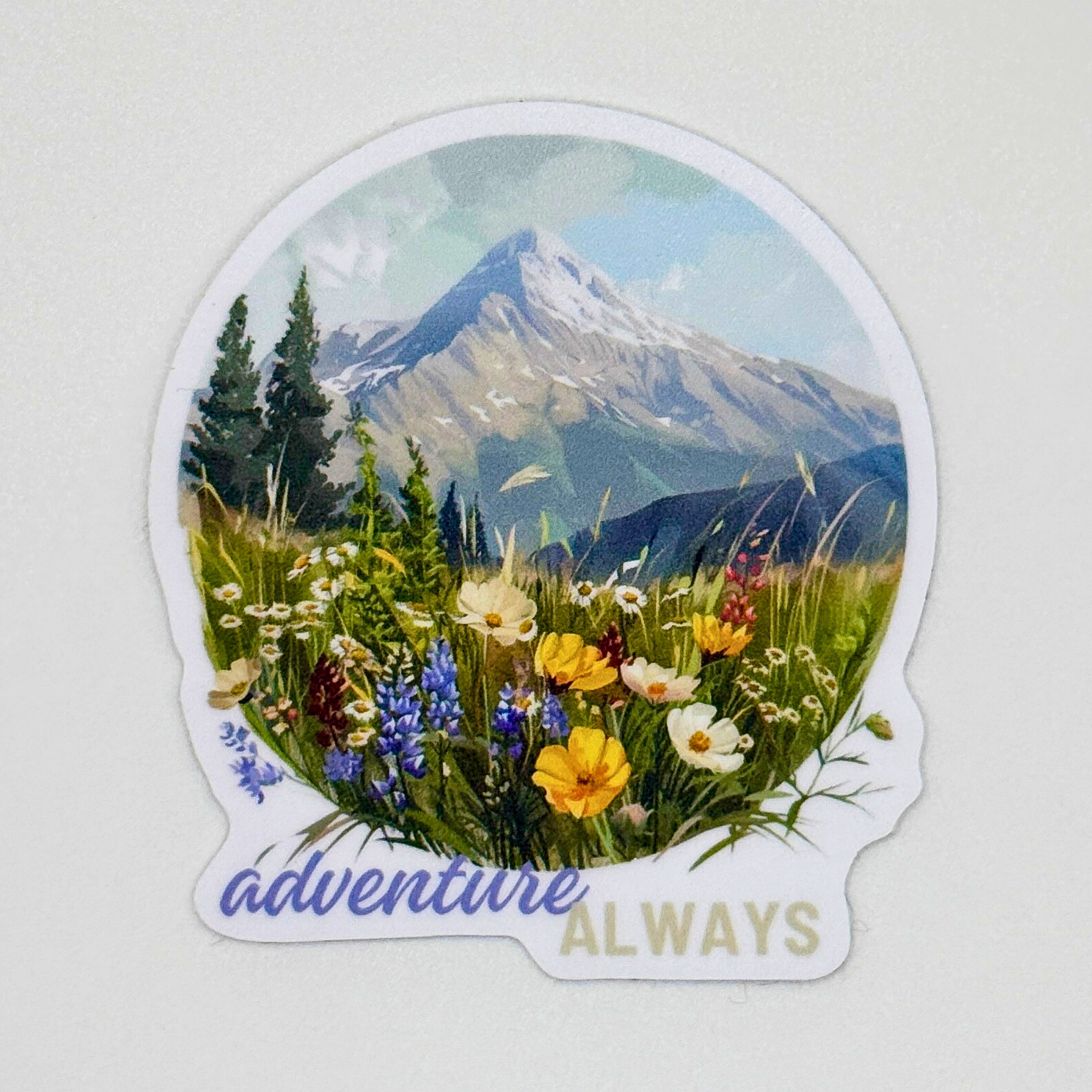 Sticker Bundle 5 for $20