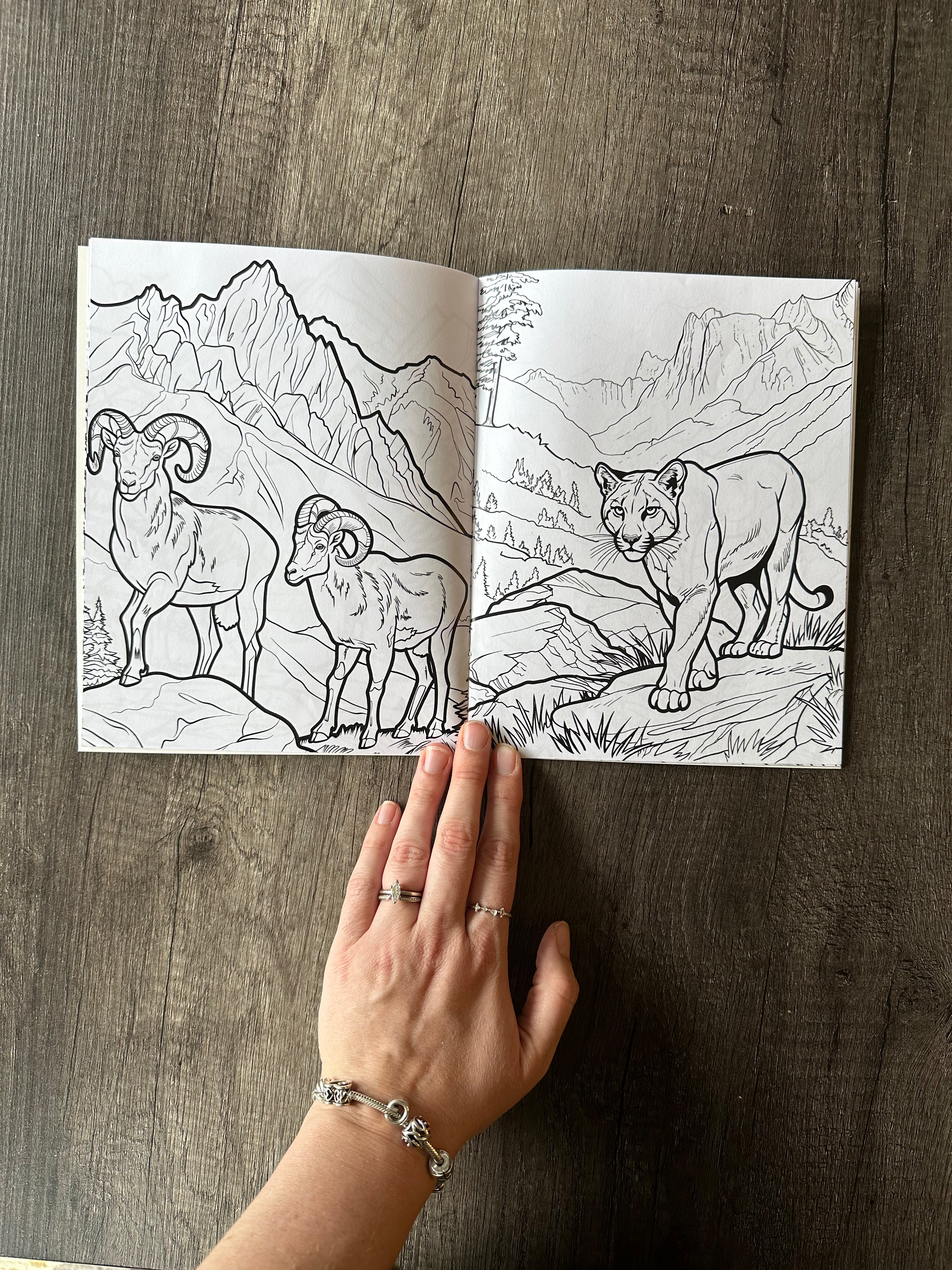 Peaks & Paws: The Activity Pack