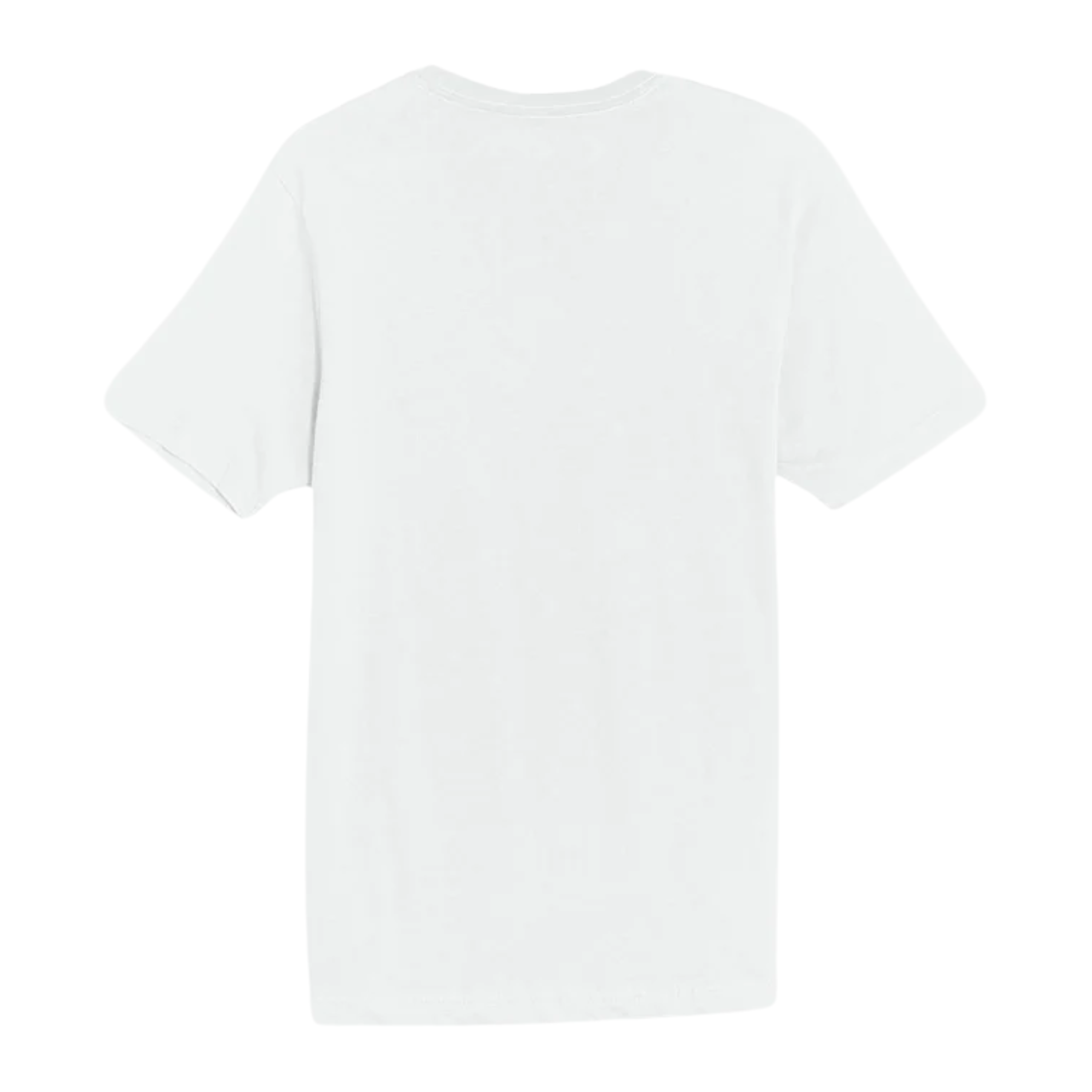 Three Sisters Bear T-Shirt